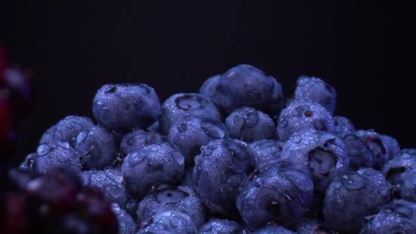 ブラックベリー ブルーベリー ブラックボウルのラズベリー 新鮮な森の果物でいっぱいのボウル プローブレンズドリー珍しいビュー — ストック動画