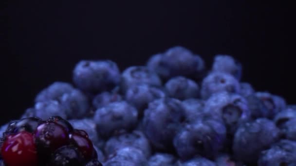 Blackberries Blueberries Raspberries Black Bowls Black Background Bowls Full Fresh — Stock Video