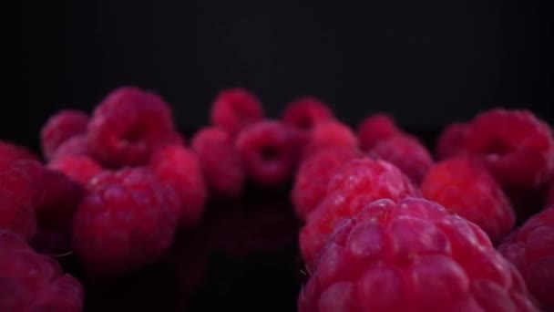 Raspberries Black Background Close Свіжі Міцні Смачні Малини Грубі Веганські — стокове відео