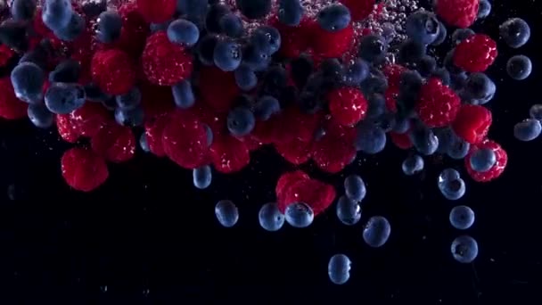 Blaubeeren Und Himbeeren Plätschern Zeitlupe Ins Wasser Viele Beeren Fallen — Stockvideo