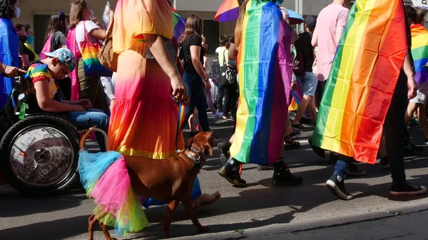 Katowice Polska Września 2020 Marsz Równości Lgbt Młodzi Ludzie Tęczowych — Zdjęcie stockowe