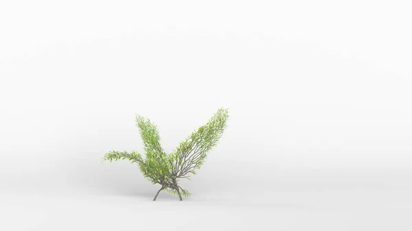 Дерево Форме Лебедя Эко Концепция Рендеринг — стоковое фото
