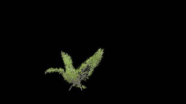 Kuğu şeklinde bir ağaç. Eko kavramı. 3B görüntüleme.