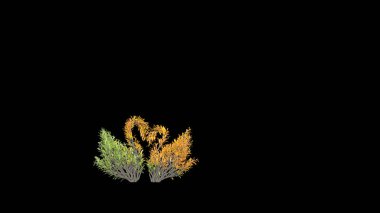 Kuğu şeklinde bir ağaç. Eko kavramı. 3B görüntüleme.