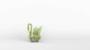 Kuğu şeklinde bir ağaç. Eko kavramı. 3B görüntüleme.