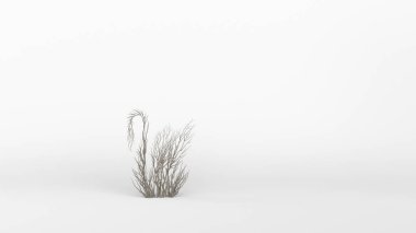 Kuğu şeklinde bir ağaç. Eko kavramı. 3B görüntüleme.