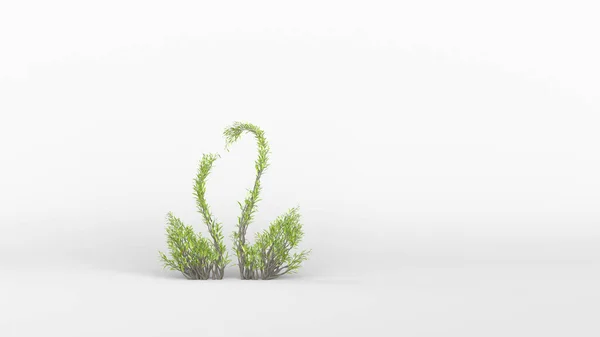 Copac Formă Lebădă Eco Concept Redare — Fotografie, imagine de stoc