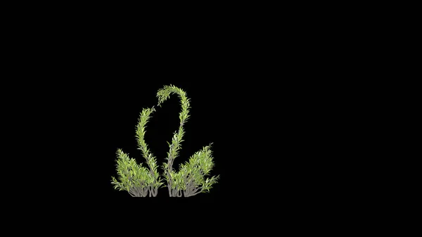 Árbol Forma Cisne Eco Concepto Renderizado —  Fotos de Stock