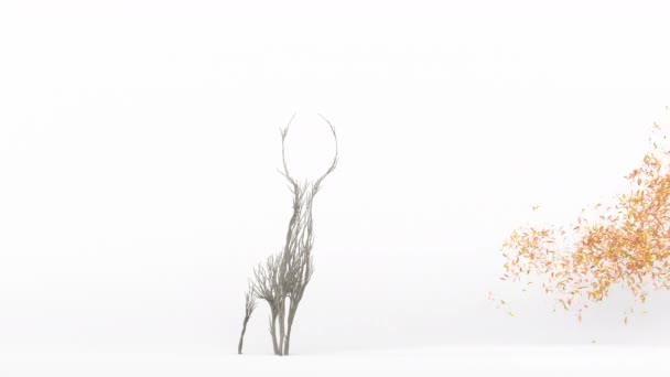 长成鹿形的树 生态概念 3D渲染 — 图库视频影像