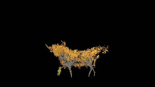 Rostoucí Strom Tvaru Býka Eco Concept Vykreslování — Stock fotografie