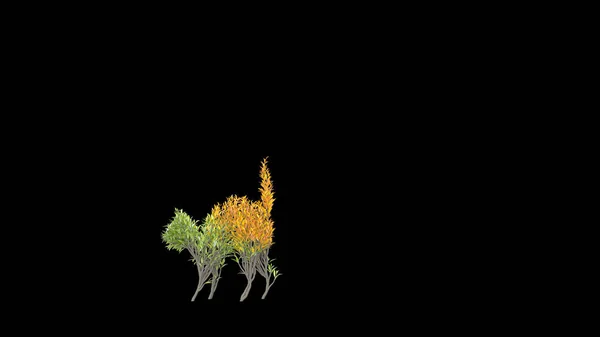 Cultivarea Copacului Într Formă Pisică Eco Concept Redare — Fotografie, imagine de stoc