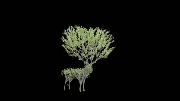 Cultivarea Copacului Într Formă Căprioară Eco Concept Redare — Fotografie, imagine de stoc