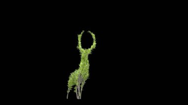 Geyik şeklinde büyüyen ağaç. Eko kavramı. 3B görüntüleme.