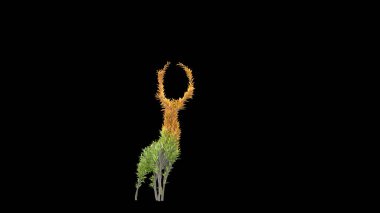 Geyik şeklinde büyüyen ağaç. Eko kavramı. 3B görüntüleme.