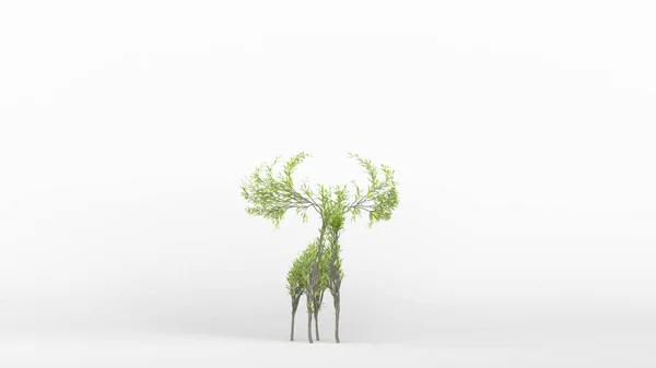 Árvore Crescente Forma Alce Conceito Eco Renderização — Fotografia de Stock