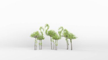 Flamingo şeklinde büyüyen ağaç. Eko kavramı. 3B görüntüleme.