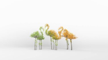 Flamingo şeklinde büyüyen ağaç. Eko kavramı. 3B görüntüleme.