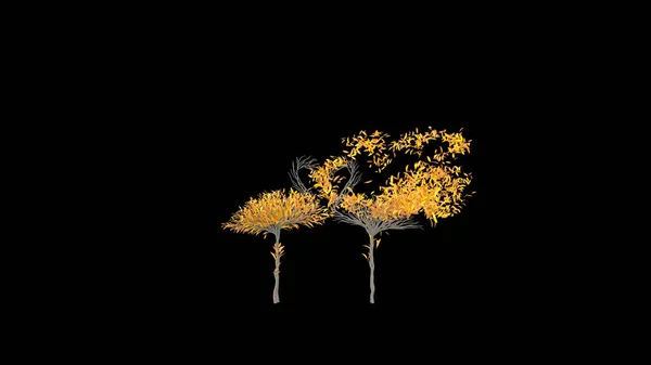 Rostoucí Strom Tvaru Plameňáka Eco Concept Vykreslování — Stock fotografie