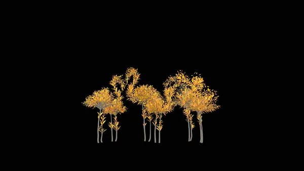 Rostoucí Strom Tvaru Plameňáka Eco Concept Vykreslování — Stock fotografie