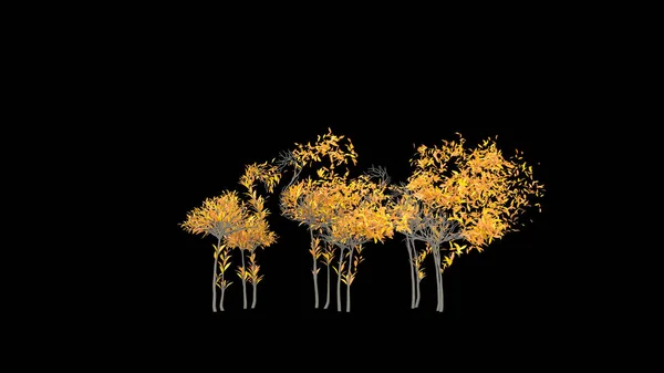플라밍고 모양의 나무를 키운다 Eco 렌더링 — 스톡 사진