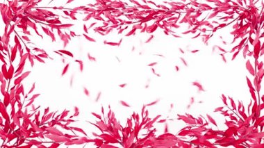 Yaprakları büyüyüp çerçeveye dönüşen bir bitki. Beyaz ve siyah arka plan. Alfa Kanalı ve maske. 3B görüntüleme.