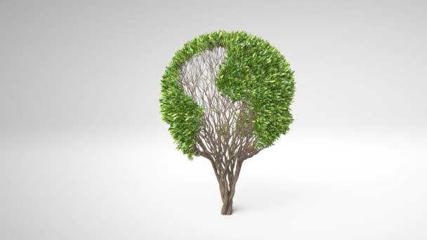 Árbol Crecimiento Formando Forma Globo Con Hojas Concepto Árbol Terrestre — Vídeo de stock