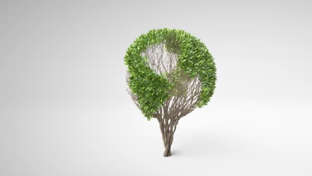 Growing Tree Forming Globe Shape Leaves Earth Tree Concept Globe — Stock Video
