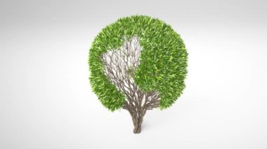 Ağaç yetişiyor, yapraklarla küre şeklini oluşturuyor. Toprak ağacı kavramı. Dünya Ağacı Konsepti. 3B görüntüleme.