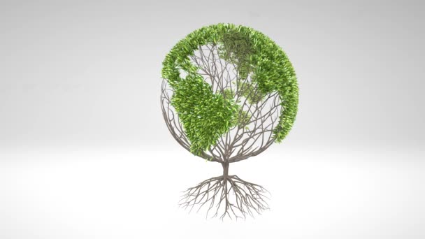 Árbol Crecimiento Formando Forma Globo Con Hojas Concepto Árbol Terrestre — Vídeo de stock