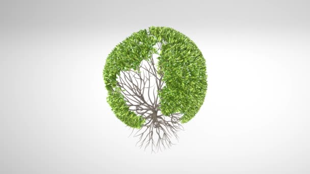 Growing Tree Forming Globe Shape Leaves Earth Tree Concept Globe — Stock Video