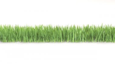 Çimenler sağdan sola doğru büyüyor. 3B görüntüleme.