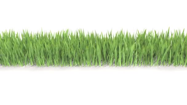 Grass Growing Right Left Rendering — Stock Video