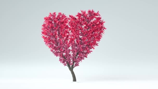 Árvore Crescente Forma Coração Canal Alfa Renderização — Vídeo de Stock