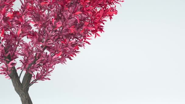 心の形で木を育てる アルファチャンネル 3Dレンダリング — ストック動画