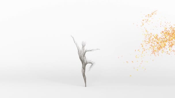 Cultivando Árbol Forma Humano Eco Concepto Renderizado — Vídeos de Stock