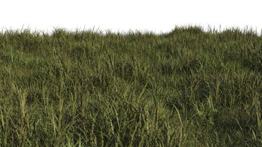 Yeşil Çim Sahası. Üç boyutlu illüstrasyon. 3B görüntüleme.