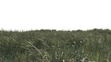 Yeşil Çim Sahası. Üç boyutlu illüstrasyon. 3B görüntüleme.