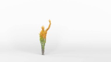 İnsan şeklinde büyüyen bir ağaç. Eko kavramı. 3B görüntüleme.