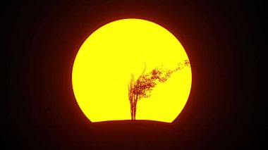 İnsan şeklinde büyüyen ağaç silueti. Eko kavramı. 3B görüntüleme.