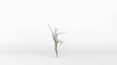 İnsan şeklinde büyüyen bir ağaç. Eko kavramı. 3B görüntüleme.