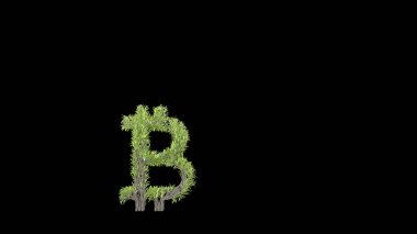 Bitcoin şeklinde bir ağaç yetiştirmek. 3B görüntüleme.