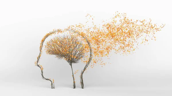 Árvore Crescente Forma Cérebro Humano Dentro Uma Cabeça Conceito Eco — Fotografia de Stock