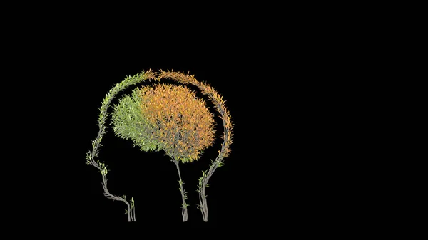 Growing Tree in a shape of human brain inside a head. Eco Concept. 3D rendering.