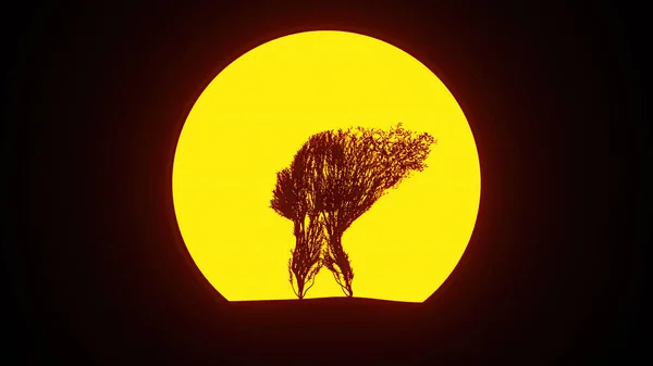 Silhouette Albero Crescente Una Forma Testa Eco Concept Concetto Medico — Foto Stock