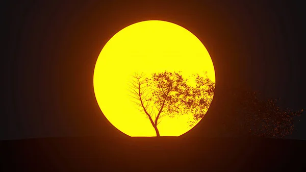Árvore Crescente Nascer Sol Forma Coração Renderização — Fotografia de Stock