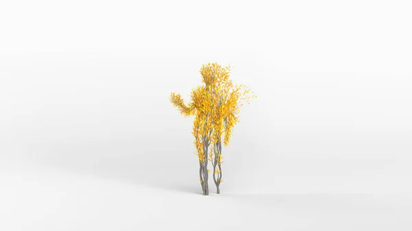 Crescere Albero Forma Umano Eco Concept Rendering — Foto Stock