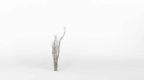 Crescere Albero Forma Umano Eco Concept Rendering — Foto Stock