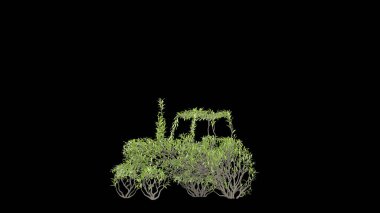 Traktör şeklinde büyüyen ağaç. Eko kavramı. 3B görüntüleme.