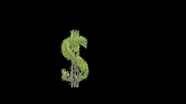 Вирощування Дерева Формі Знака Долара Візуалізація — стокове фото