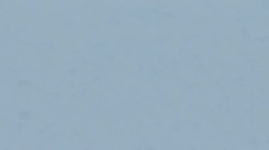 Ekranın Buz Donduran Canlandırması. 3B canlandırma Canlandırması.